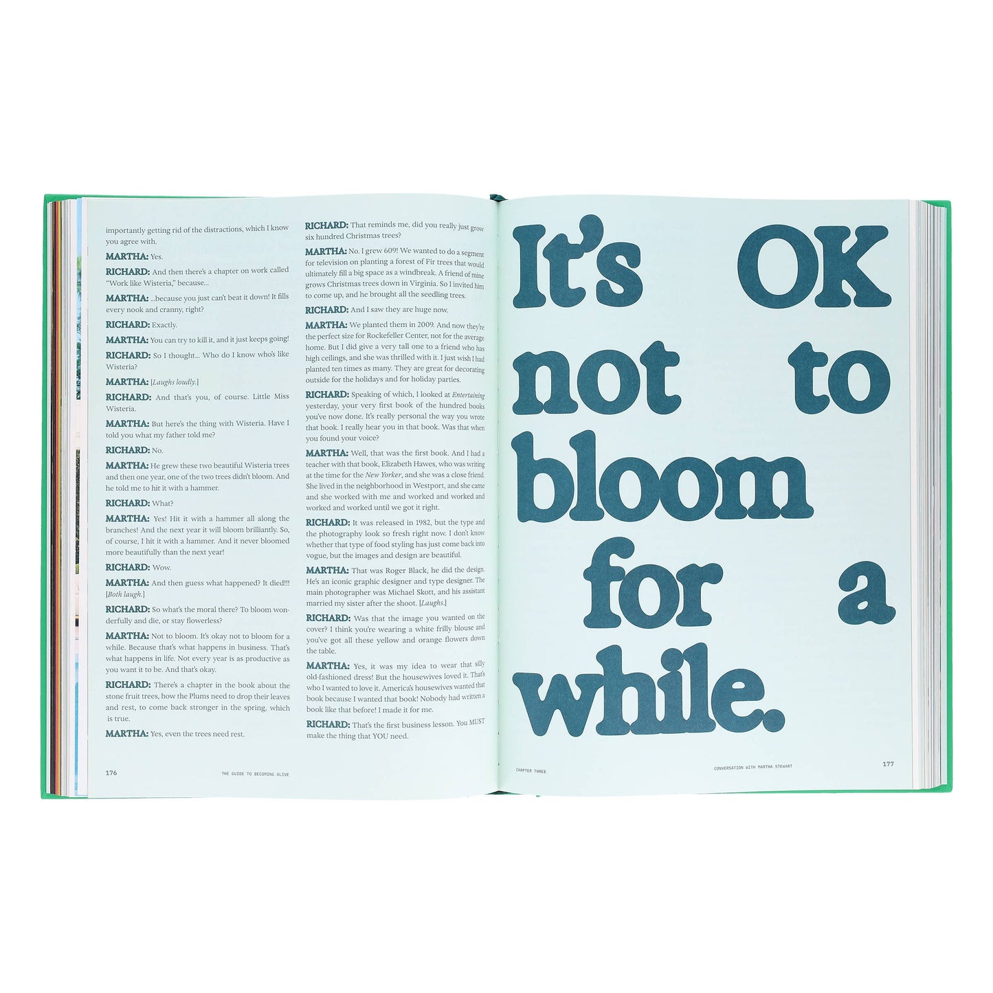 Flamingo Estate: The Guide to Becoming Alive