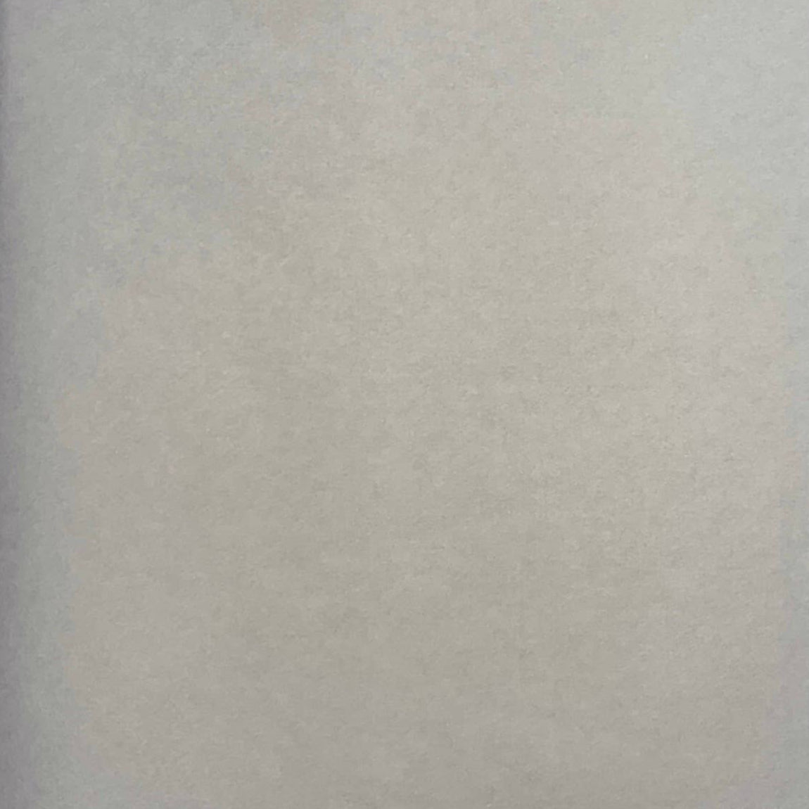 REVEL & Co. - Tissue Paper