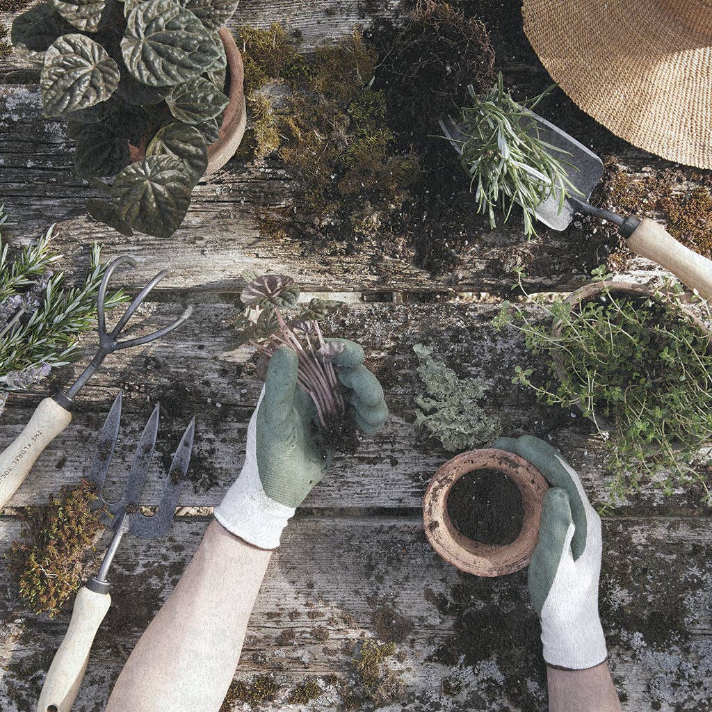 The Floral Society - Forged Trowel