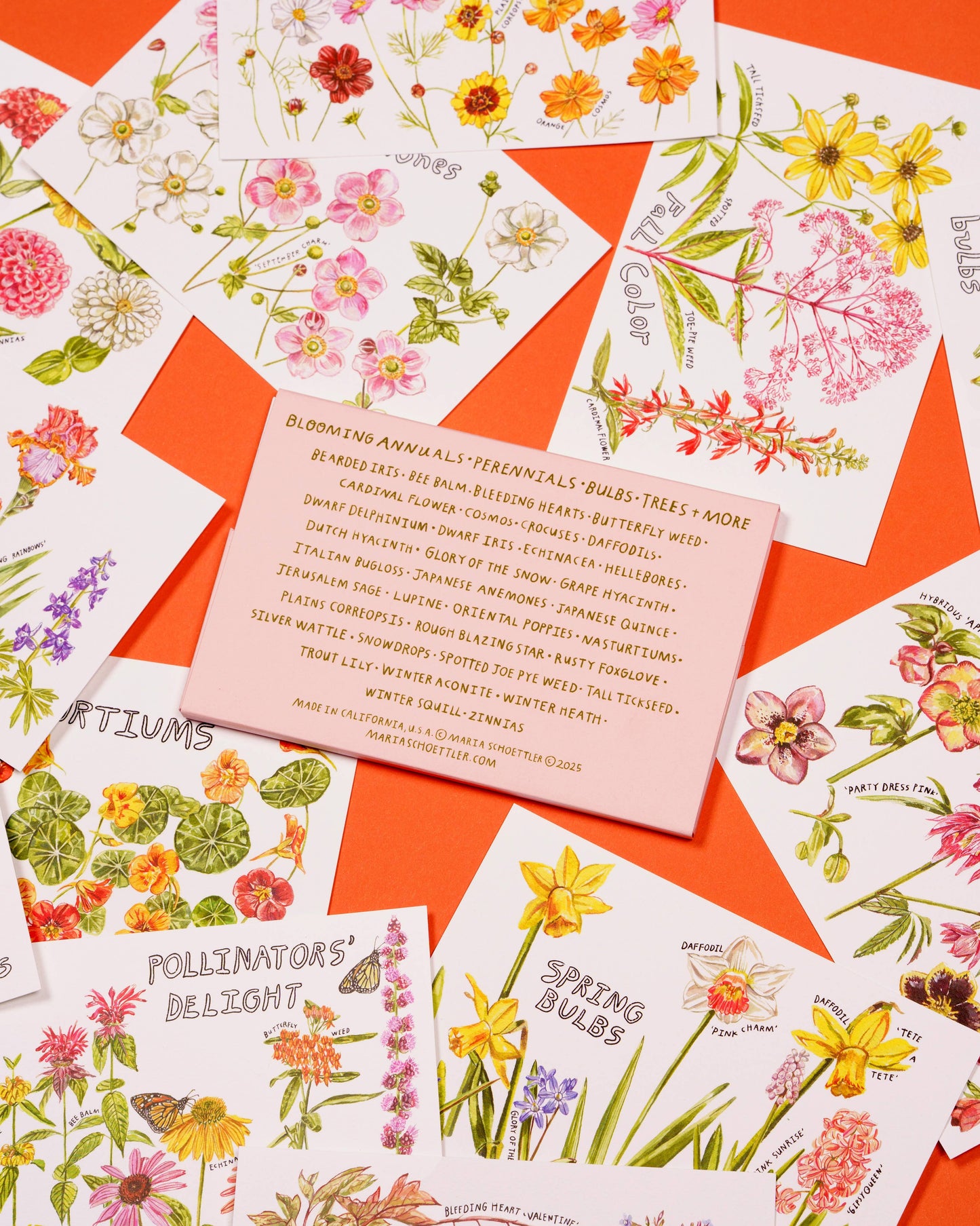 Maria Schoettler - From the Garden Postcard (Set of 12)