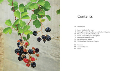 Tiny Space Gardening: A Guide to Urban Farming