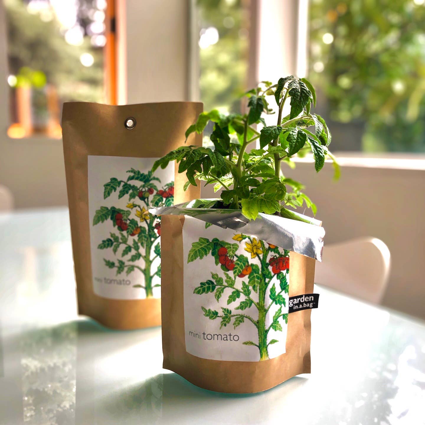 Potting Shed Creations - Garden in a Bag, Tomato