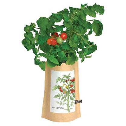 Potting Shed Creations - Garden in a Bag, Tomato
