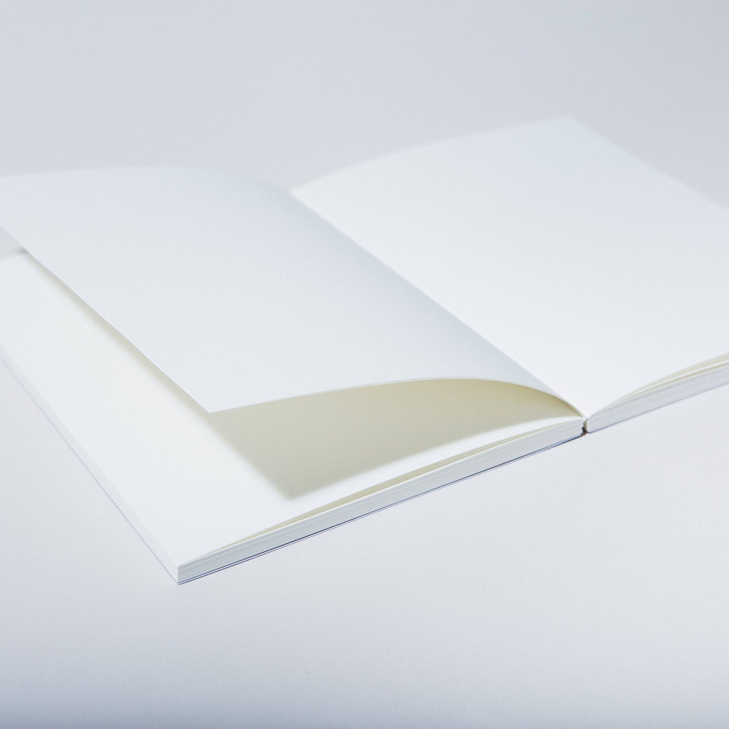 Case study - Scenic Layflat Notebook