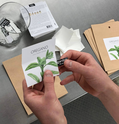 Potting Shed Creations - Garden in a Bag, Mint