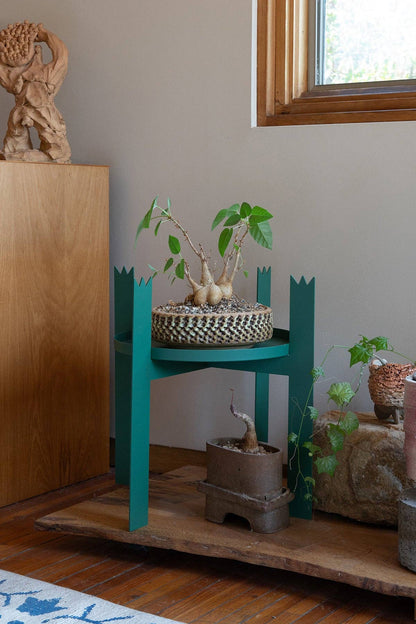 Upton - PONT Plant Stand