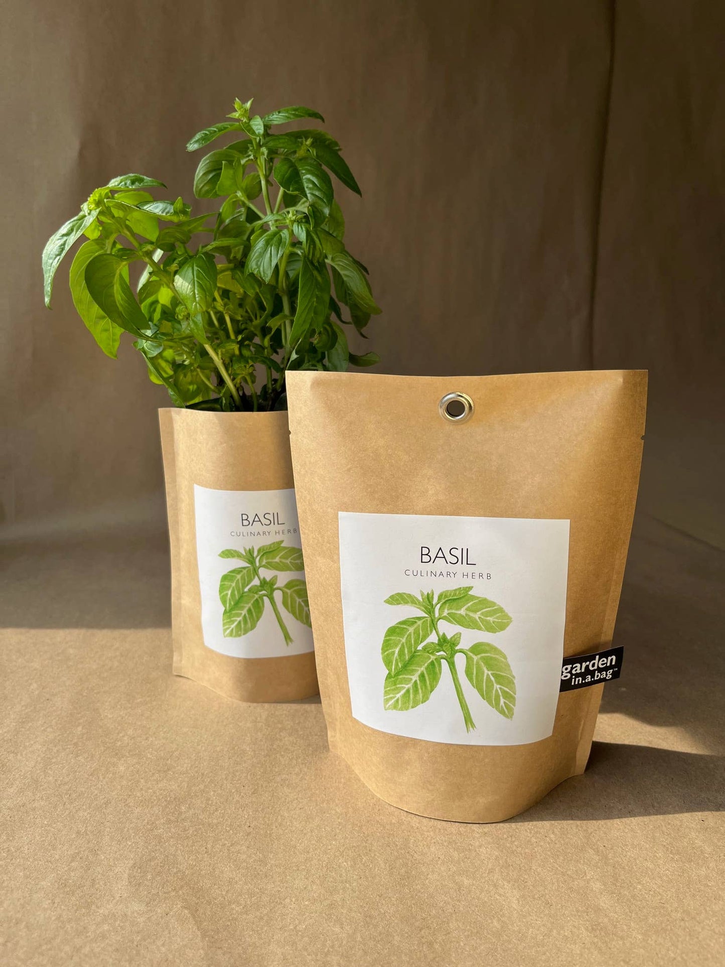 Potting Shed Creations - Garden in a Bag, Basil