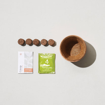 Modern Sprout - Tiny Terracotta Grow Kits