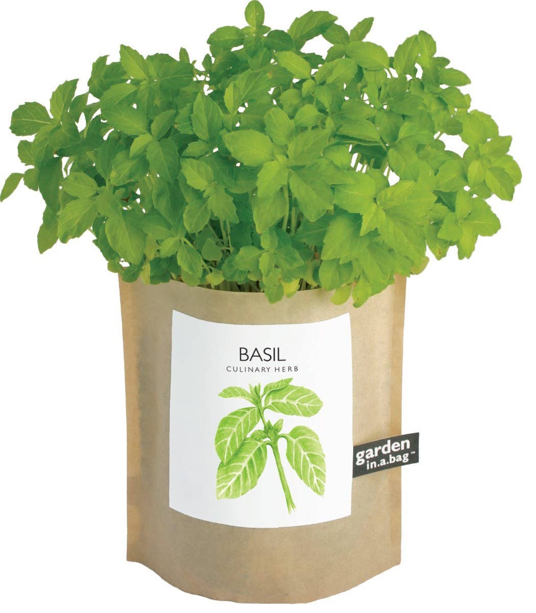 Potting Shed Creations - Garden in a Bag, Basil
