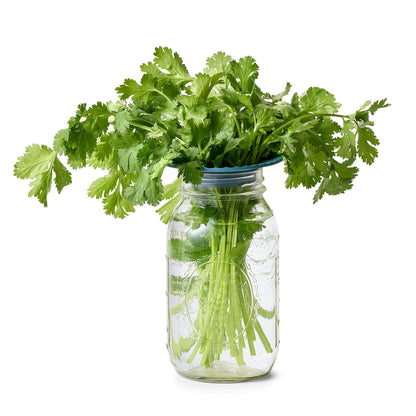 Modern Sprout - Produce Keepers (Set of 2)