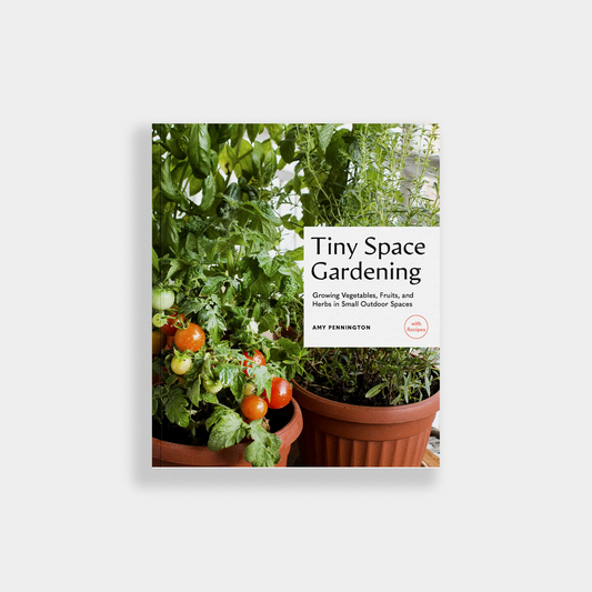 Tiny Space Gardening: A Guide to Urban Farming