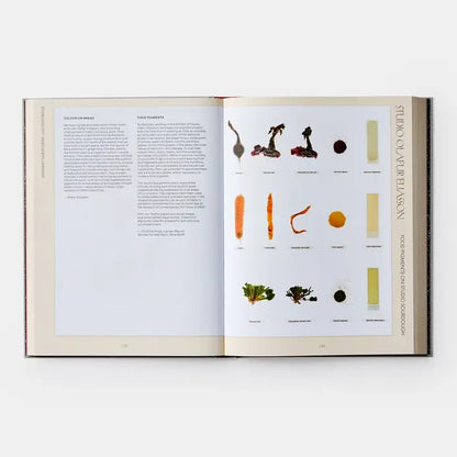 The Kitchen Studio: Culinary Creations By Artists