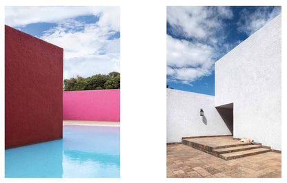 Resident Dog (Volume Two)