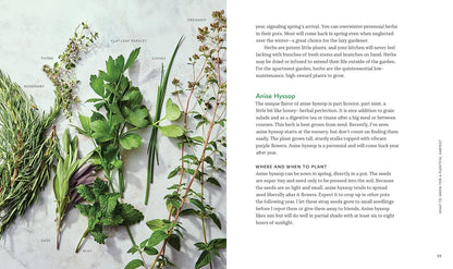 Tiny Space Gardening: A Guide to Urban Farming