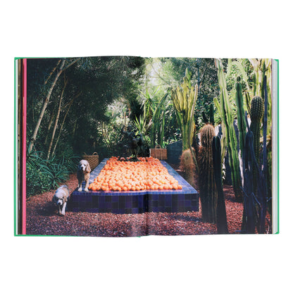 Flamingo Estate: The Guide to Becoming Alive