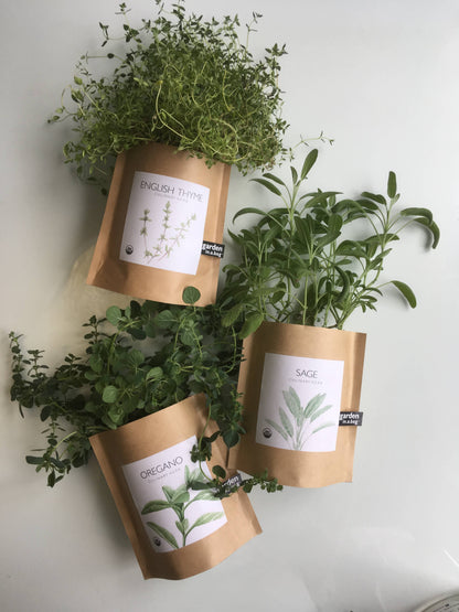 Potting Shed Creations - Garden in a Bag, Italian Parsley