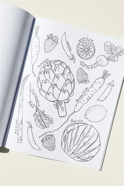 Maria Schoettler - A Garden for All Seasons Coloring Book