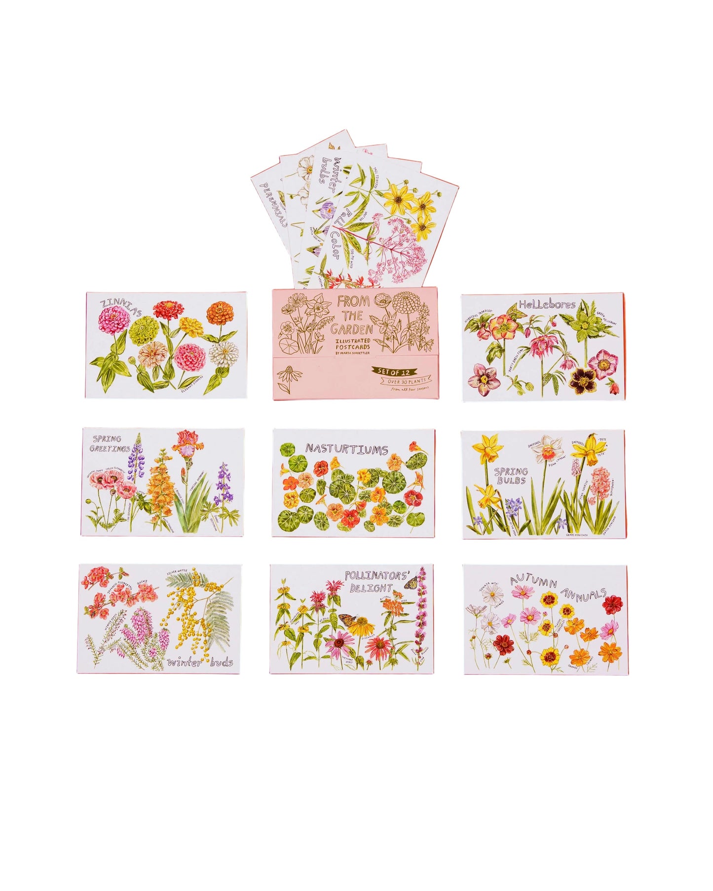 Maria Schoettler - From the Garden Postcard (Set of 12)