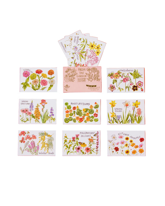 Maria Schoettler - From the Garden Postcard (Set of 12)