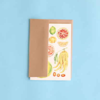 Maria Schoettler - Taste of the Seasons Card (Set of 8)