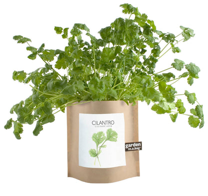 Potting Shed Creations - Garden in a Bag, Cilantro