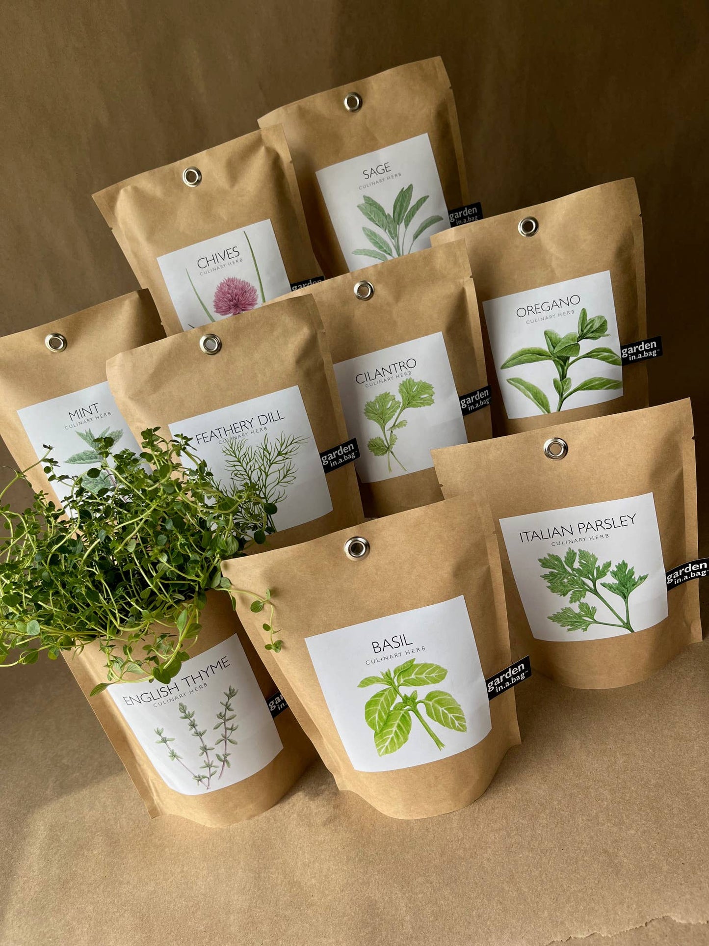 Potting Shed Creations - Garden in a Bag, Basil