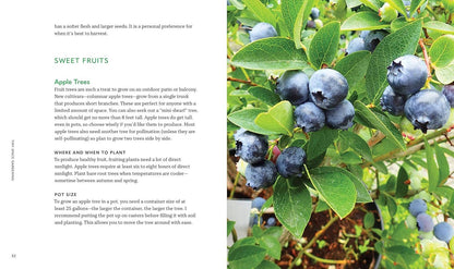 Tiny Space Gardening: A Guide to Urban Farming