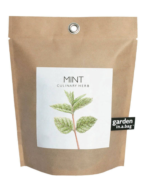 Potting Shed Creations - Garden in a Bag, Mint