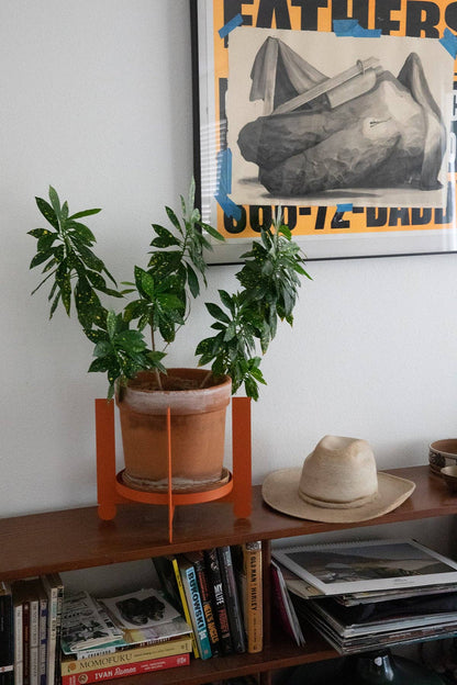 Upton - PALLA Plant Stand