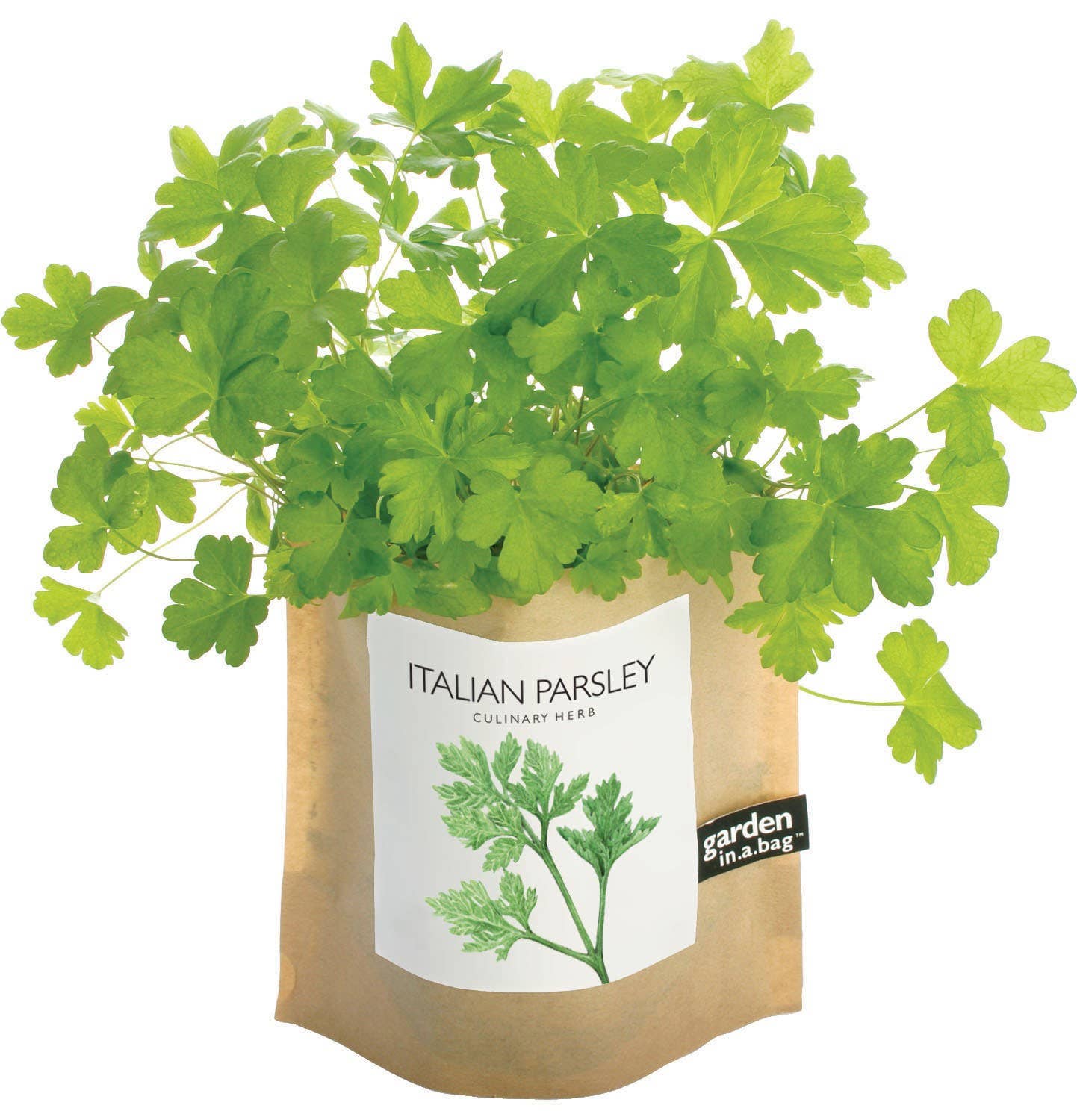 Potting Shed Creations - Garden in a Bag, Italian Parsley