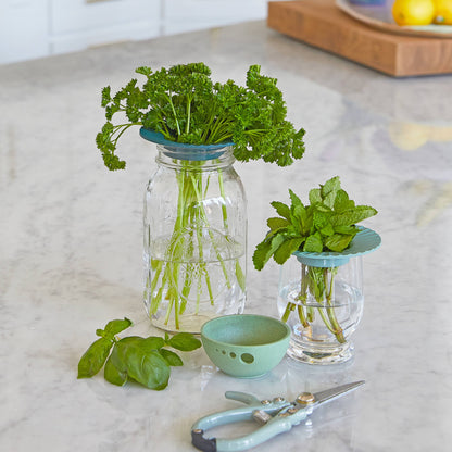 Modern Sprout - Produce Keepers (Set of 2)