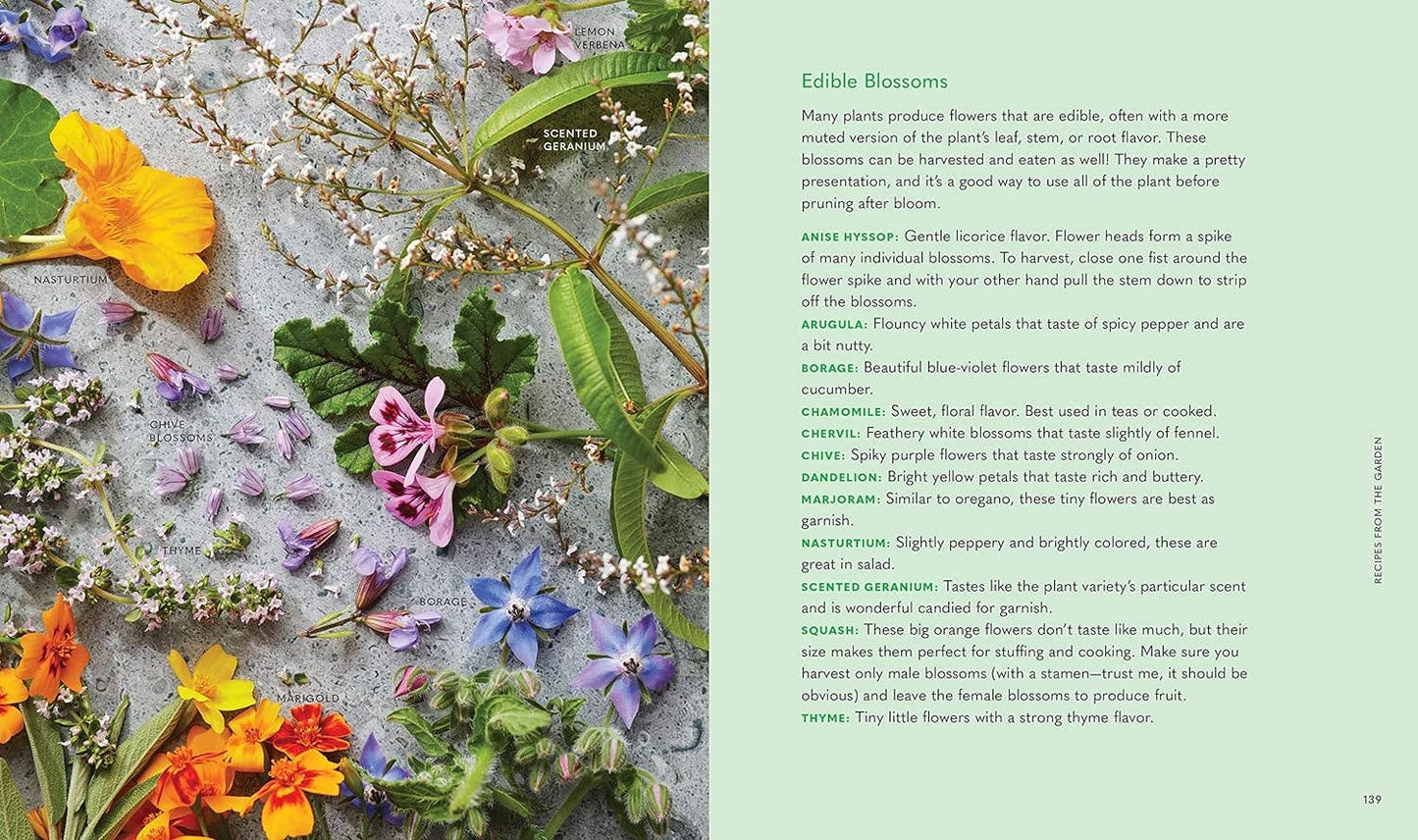 Tiny Space Gardening: A Guide to Urban Farming