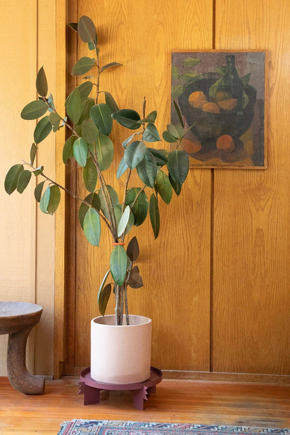 Upton - REED Plant Stand