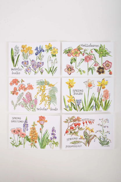 Maria Schoettler - From the Garden Postcard (Set of 12)