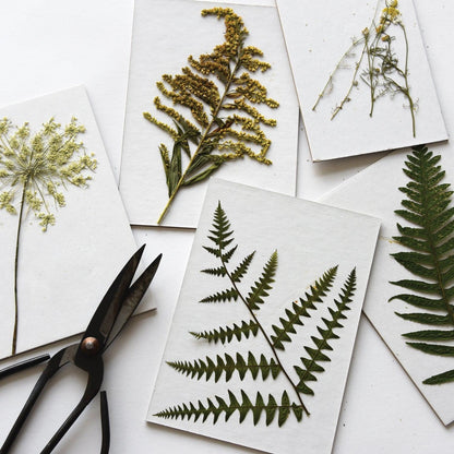 June & December - Flower Press Refill