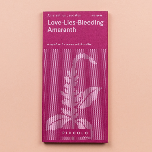 Piccolo Seeds - Amaranth Love lies bleeding